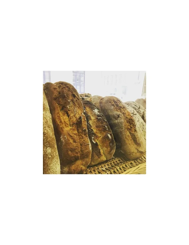 lapanaceabio5308359