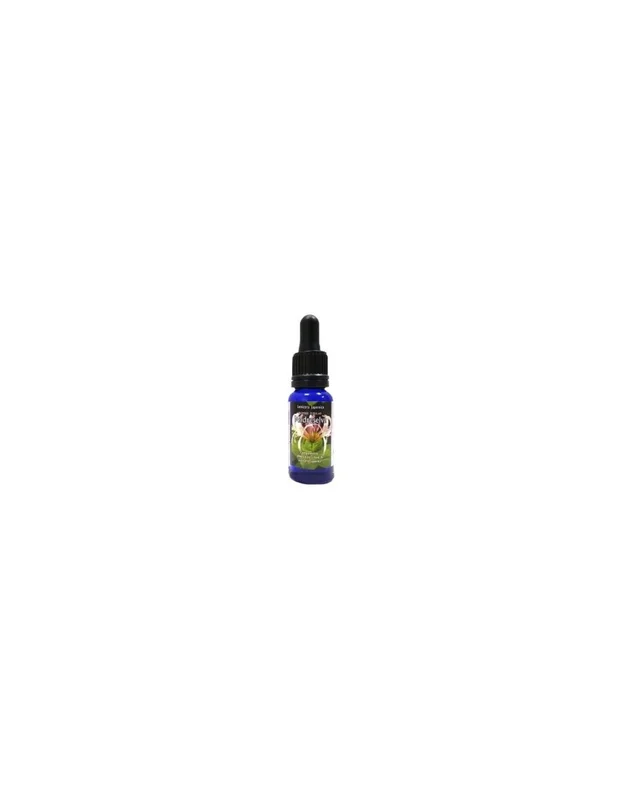 lapanaceabio5518002