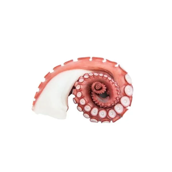 mentta31518